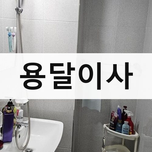 부산 서부·도심 용달이사 포장이사