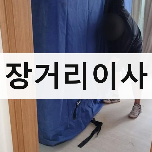 부산 서부·도심 장거리이사 사무실이사