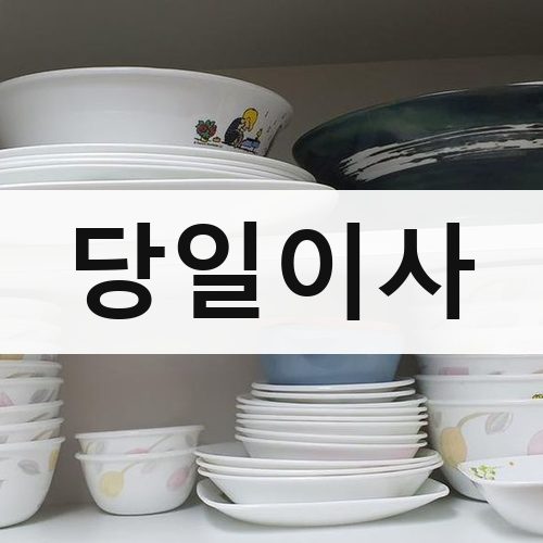 부산 서부·도심 당일이사 포장이사